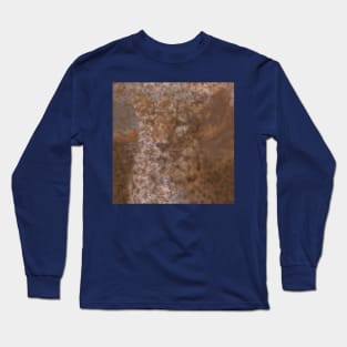 Leopard portrait | leopard painting Long Sleeve T-Shirt